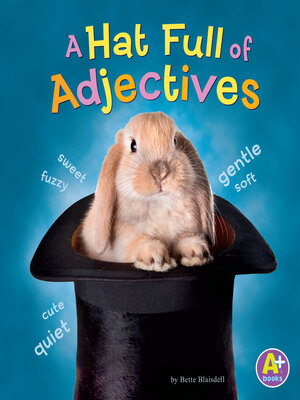 cover image of A Hat Full of Adjectives